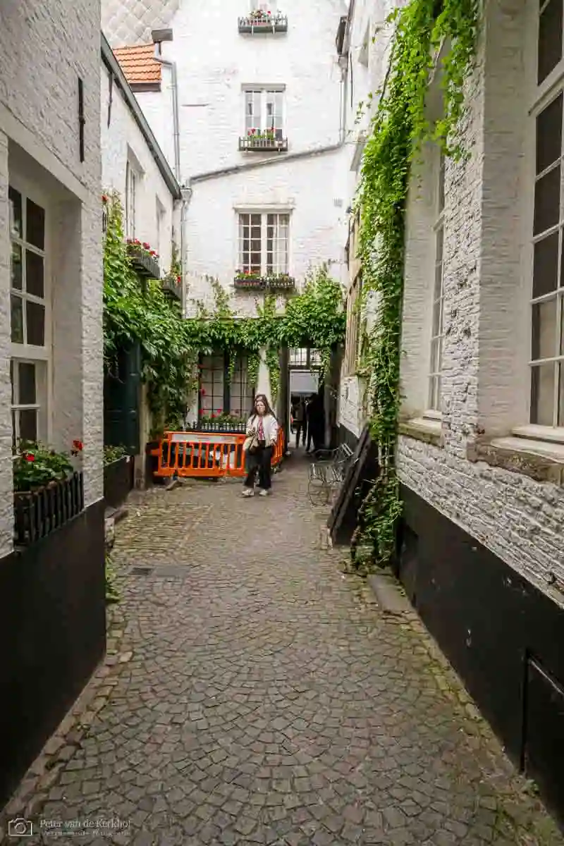 PvdK_2026-06-06_D1057.webp