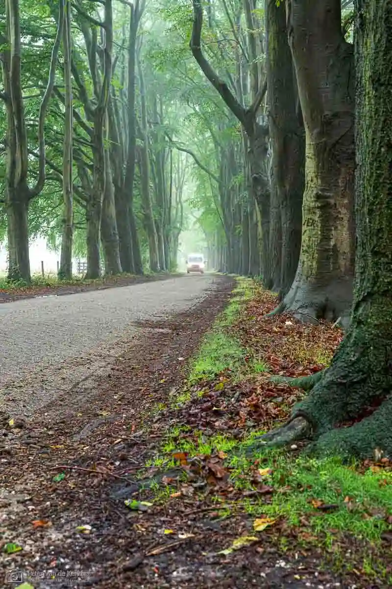 PvdK_2026-09-14_D3341.webp